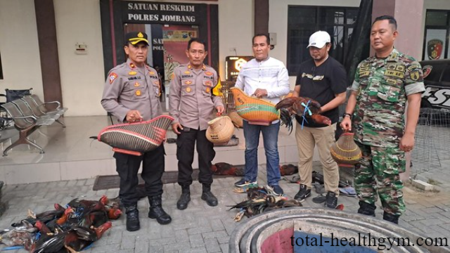 Judi Sabung Ayam 13 Penjudi Ditangkap di Jombang