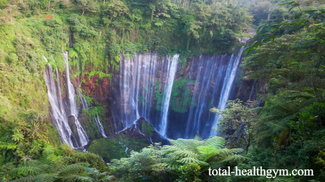 Inilah Daftar Tempat Wisata Alam Terbaik Di Malang