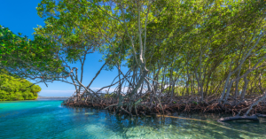 Sederetan Kegiatan Seru di Pulau Pahawang